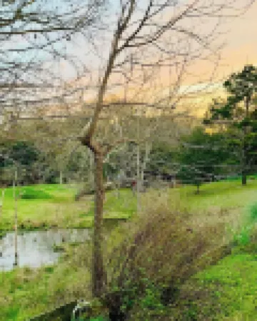 Circa 1900 Farmhouse Cottage - Pond - King Bed - Fenced - 8 Miles to Brenham
