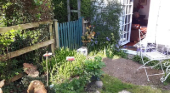 Character Victorian Cottage Opposite Common Land within New Forest National Park