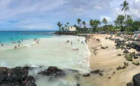 Banyan Tree 300: Gorgeous, New Unit 20 ft from Beach w/ Stunning Ocean Views/AC!