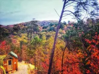 Cozy, absolutely secluded Mountain Cabin,Pet Friendly,spectacular Views,hiking - 2 stjerner