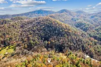 Life is a HOOT in the mountains of Suches