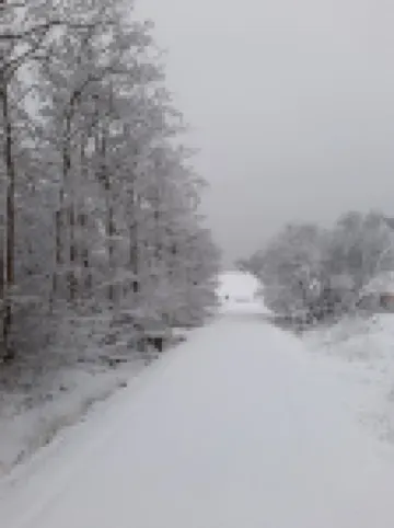 Haus im Seewind II, 70sqm - Country house with large garden, near Friesenstrand