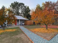 Gorgeous, modern and sweet