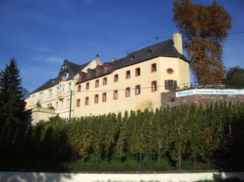 Apartment "Schwalbennest" near Bernkastel-Kues