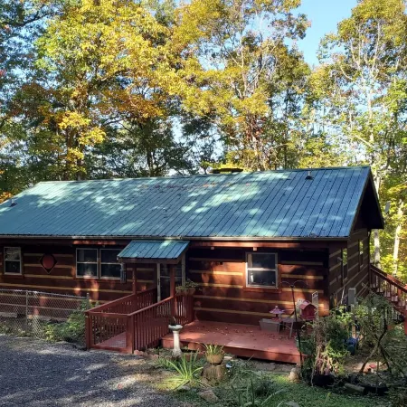 Near West Jefferson, Boone + Blue Ridge Parkway! Mountain get away w/ fireplace.