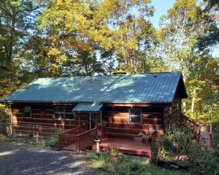Near West Jefferson, Boone + Blue Ridge Parkway! Mountain get away w/ fireplace. Hotels in Pine Swamp