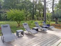 Magnificent villa with swimming pool