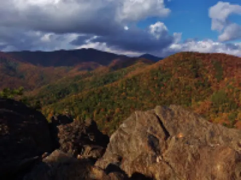 Wi-Fi PRIVATE Cabin in town Black Mountain Montreat FAST to Asheville WOODS