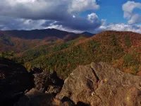Wi-Fi PRIVATE Cabin in town Black Mountain Montreat FAST to Asheville WOODS