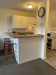 Ski In & Ski Out - Deluxe 1 Bedroom Condo Sleeps 5
