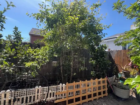 Cozy Detached cottage at rear of main house 30 min. To SF  2 bedrooms 1 bathroom