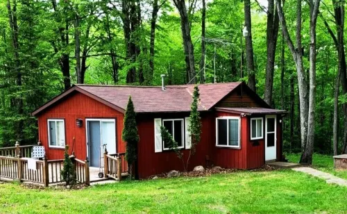 Lucky Bear Lodge. Secluded Cabin in the Woods, Beach Access. Pet Friendly