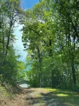 Dog friendly Sylva NC Mountain Retreat<br>Near WCU and downtown
