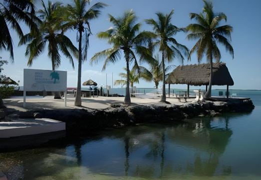 4. 록 리프 리조트..