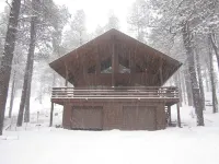 Log Cabin in tall pines, backs to forest, great hiking, star-gazing, biking!