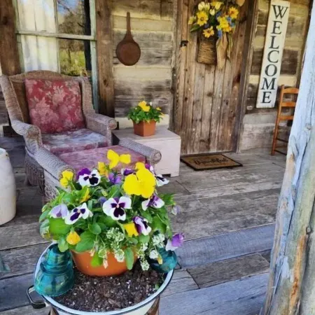 Mullins Log Cabin 1850s Rustic Cabin Near Ark  Sits on 5 AC15 Min to Ark