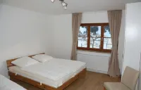 Luxurious holiday home, panoramic view, next to the ski lift, train/ski included