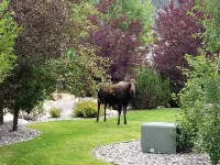 Ski In/Ski Out, 3 BR/3BA  Condo, Hot Tub, Fireplace in Big Sky Mountain Village