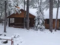 Garden Cabin with Fenced Yard and AC