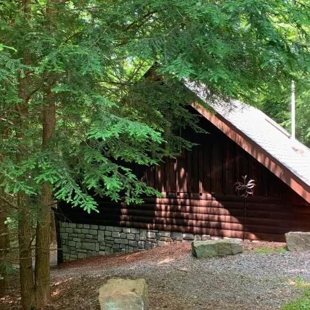 Adventurer's  Lodge, a charming 3-bedroom cabin with WiFi in quiet Lansing, WV.