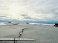 Ferienhaus "sanderling" - Gemütliches Holzhaus mit Blick auf die Schafswiesen