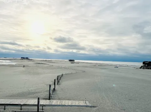 Ferienhaus "sanderling" - Gemütliches Holzhaus mit Blick auf die Schafswiesen