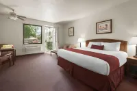 Palm Mountain Resort & Spa - Airport Shuttle