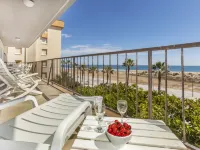 Torremar Alex