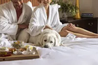 Hotel Granduca Houston - spa