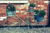 Close to Peppa Pig World, New Forest and South coast