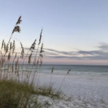 Adorable private studio-style guesthouse! 15 min from beaches!