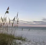 Adorable private studio-style guesthouse! 15 min from beaches!