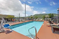 Spark by Hilton Kimball - Pools