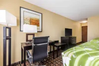 Econo Lodge Boaz