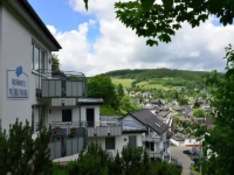 Geräumiges Apartment Mit Balkon in Willingen