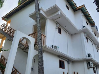 Two Palms