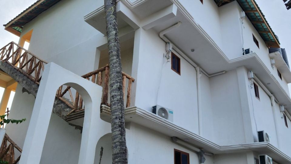 Two Palms