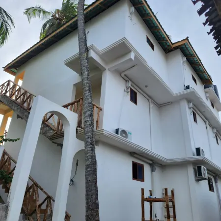 Two Palms