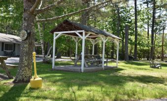 Acadia Pines Motel