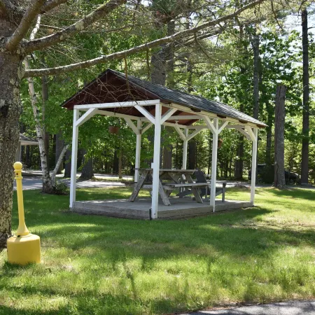 Acadia Pines Motel