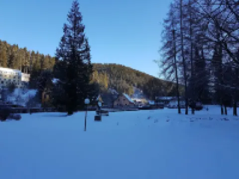 Ferienwohnung in Wildemann