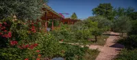 Felicity Hotel & Bungalows Hotels in Camyuva