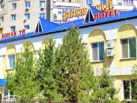 Victoria Hotel Hotels in Uralsk