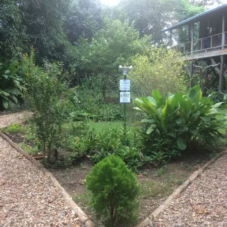 Treetop Cottage Escape in Tropical Garden Near San Ignacio