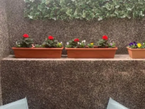 最少入住兩晚 拉恩酒店