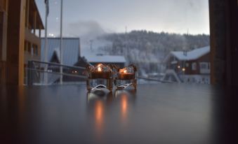 Levi Suites Levi Gold