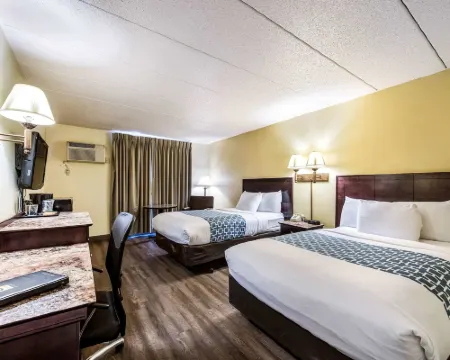 Econo Lodge Mayo Clinic Area Hotels in Rochester