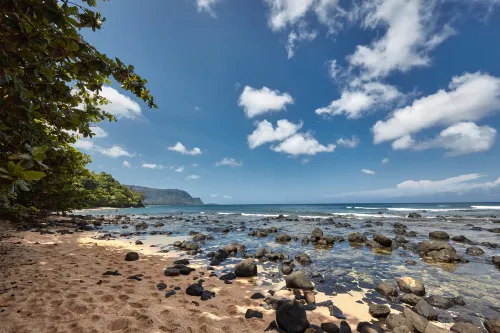 Pili Aloha
