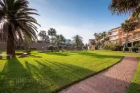 Dolphin Theme and Resort Pools - Luxurious Coastal Haven