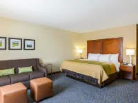 Comfort Inn Woodstock Shenandoah Hotels in Shenandoah County